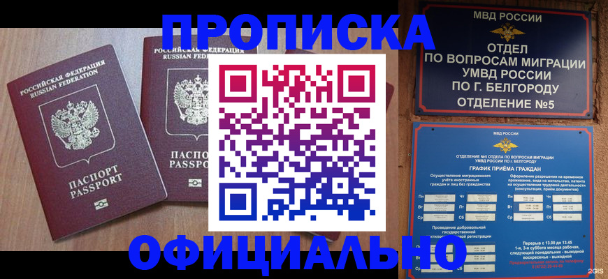 найти адрес прописки в Лодейном Поле